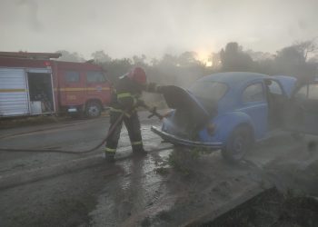 INCÊNDIO EM VEÍCULO