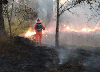 Bombeiros foram acionados no final da tarde desta terça-feira (22) para um incêndio em vegetação.