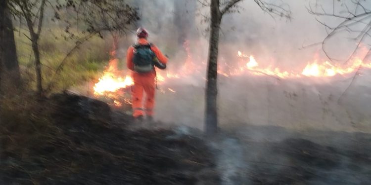 Bombeiros foram acionados no final da tarde desta terça-feira (22) para um incêndio em vegetação.