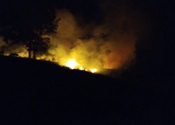 Bombeiros do Segundo Pelotão combatem incêndio em vegetação às margens da MGC 383, km 77.