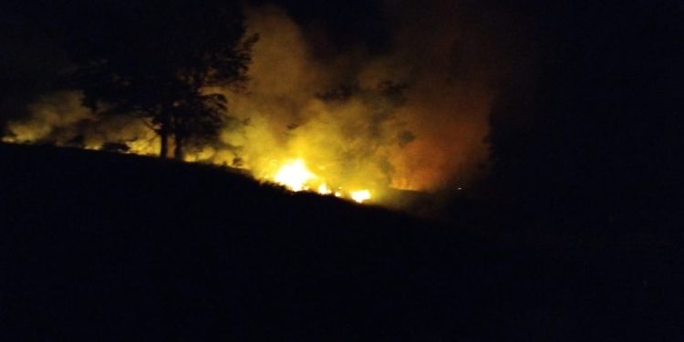 Bombeiros do Segundo Pelotão combatem incêndio em vegetação às margens da MGC 383, km 77.