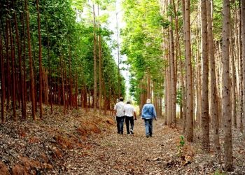 Educação Ambiental: Sisema alcança 3 milhões de pessoas em quase 30 mil atividades educativas realizadas em 2022