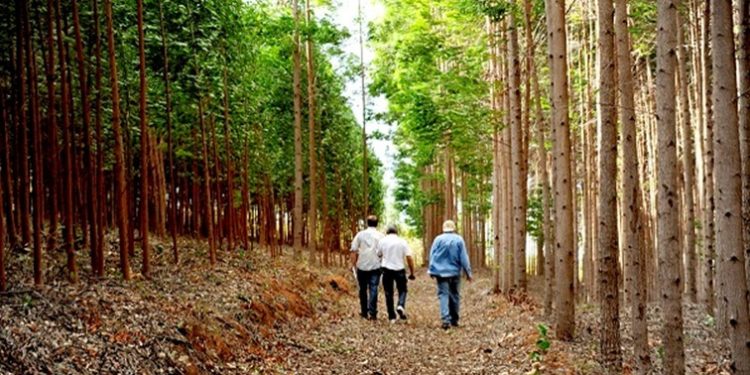 Educação Ambiental: Sisema alcança 3 milhões de pessoas em quase 30 mil atividades educativas realizadas em 2022