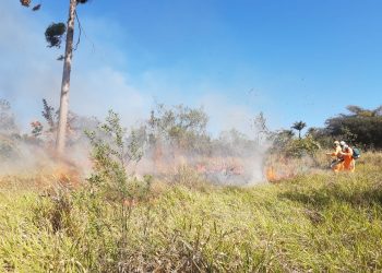 SEGUNDO PELOTÃO DE BOMBEIROS COMBATE INCÊNDIO EM VEGETAÇÃO.