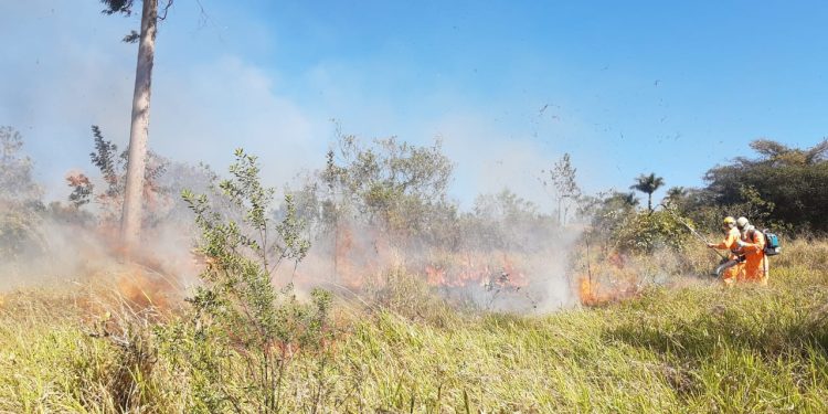 SEGUNDO PELOTÃO DE BOMBEIROS COMBATE INCÊNDIO EM VEGETAÇÃO.