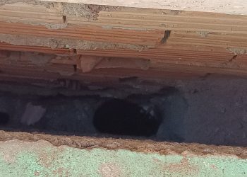 Bombeiros resgataram gato que ficou preso entre muros