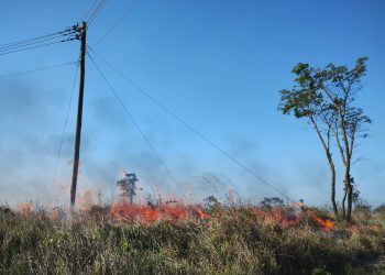 Bombeiros militares combatem incêndio em vegetação em Conselheiro Lafaiete