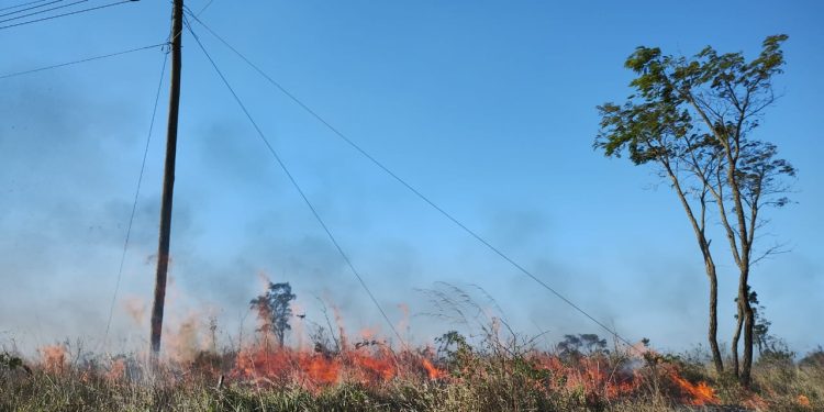 Bombeiros militares combatem incêndio em vegetação em Conselheiro Lafaiete