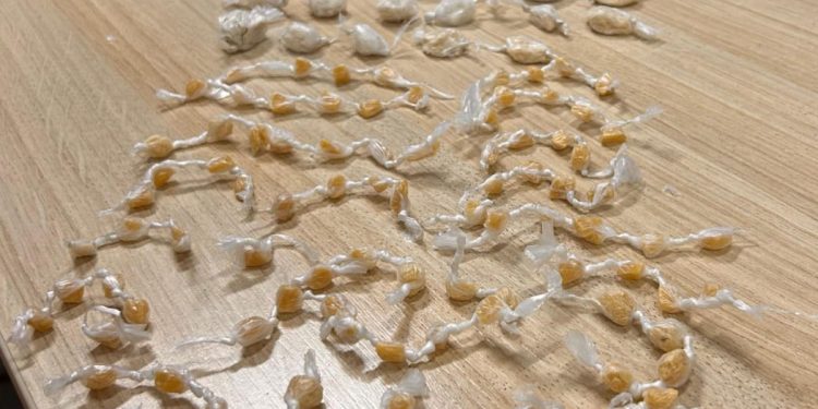 Dois menores são apreendidos com 106 pedras de crack, 29 papelotes de cocaina e bucha de maconha em Santa Cruz de Minas