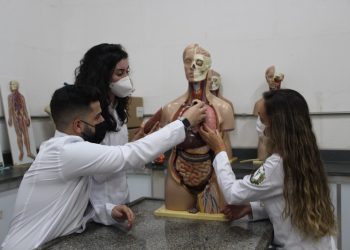 UEMG abre 400 vagas em especialização EaD