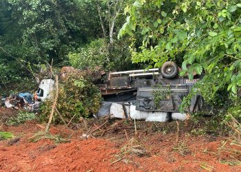 Caminhão carregado de café colide com dois veiculos na BR 265, zona rural de Lavras.