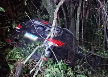 Veículo cai em uma ribanceira na rodovia MGC 491