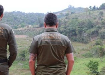 Fiscalização ambiental realizou 52 mil ações em 2023