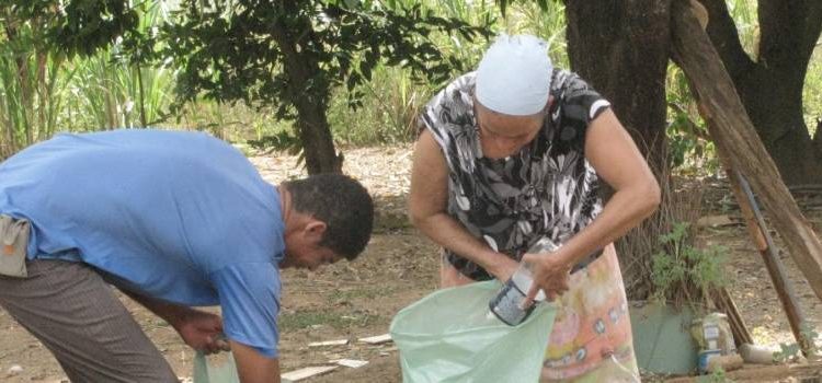 Prevenção contra a dengue deve ocorrer também em propriedades rurais