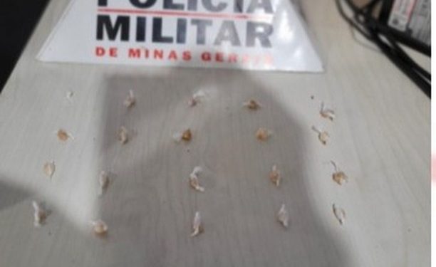 PM aprende 21 pedras de crack em Santa Cruz de Minas.