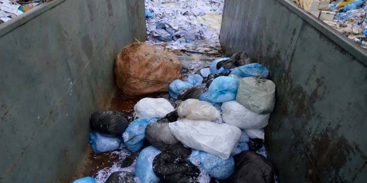 Cerca de 77 milhões de toneladas de resíduos sólidos urbanos foram geradas no país em 2022
