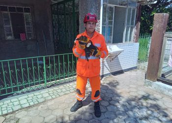 Salvamento de Animal em Risco.