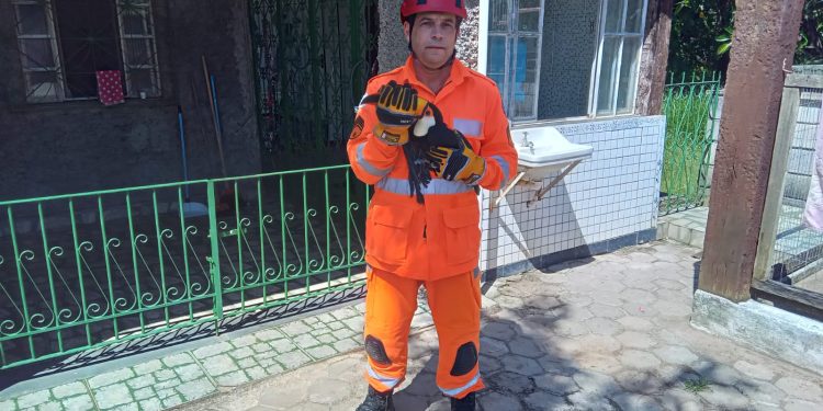 Salvamento de Animal em Risco.