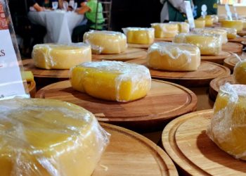 Emater-MG vai revelar os ganhadores do Concurso Estadual dos Queijos Artesanais de Minas Gerais em cerimônia no Serro
