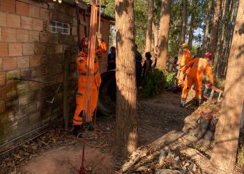 Bombeiros salvam vaca que caiu em uma fossa na Chapada do Faria
