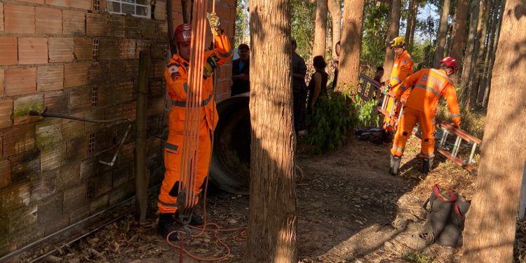 Bombeiros salvam vaca que caiu em uma fossa na Chapada do Faria