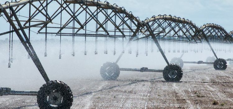 Primeiro Seminário Mineiro de Irrigação reúne especialistas e apresenta novas tecnologias em Paracatu