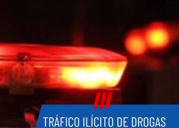 Tráfico Ilícito de Drogas em Santa cruz de Minas