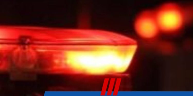 Tráfico Ilícito de Drogas em Santa cruz de Minas