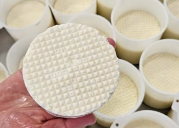 Instituto de laticínios da Epamig inicia monitoramento da qualidade do Queijo Minas do Caminho Novo