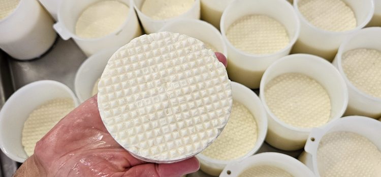 Instituto de laticínios da Epamig inicia monitoramento da qualidade do Queijo Minas do Caminho Novo