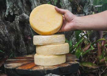 São João del-Rei recebe fórum sobre os Modos de Fazer o Queijo Minas Artesanal