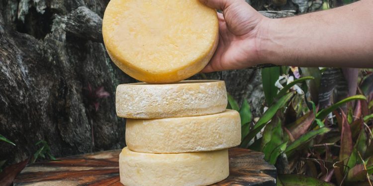 São João del-Rei recebe fórum sobre os Modos de Fazer o Queijo Minas Artesanal