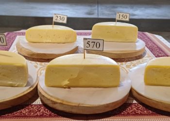 Bambuí sedia 21º Concurso Regional do Queijo Minas Artesanal da região da Canastra