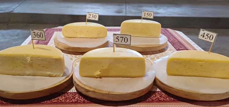Bambuí sedia 21º Concurso Regional do Queijo Minas Artesanal da região da Canastra