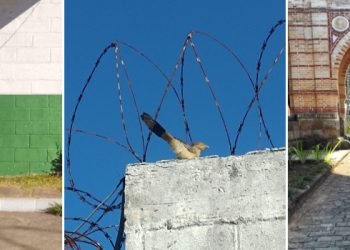 Adolescentes do Centro Socioeducativo de Juiz de Fora produzem fotos e participam de exposição em festival internacional