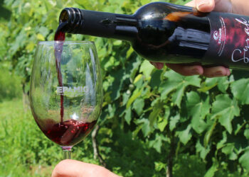 Vinhos de colheita de inverno de Minas Gerais são destaque no Decanter World Wine Awards 2026