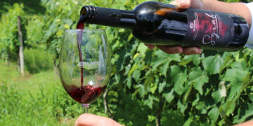 Vinhos de colheita de inverno de Minas Gerais são destaque no Decanter World Wine Awards 2026