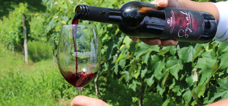 Vinhos de colheita de inverno de Minas Gerais são destaque no Decanter World Wine Awards 2026